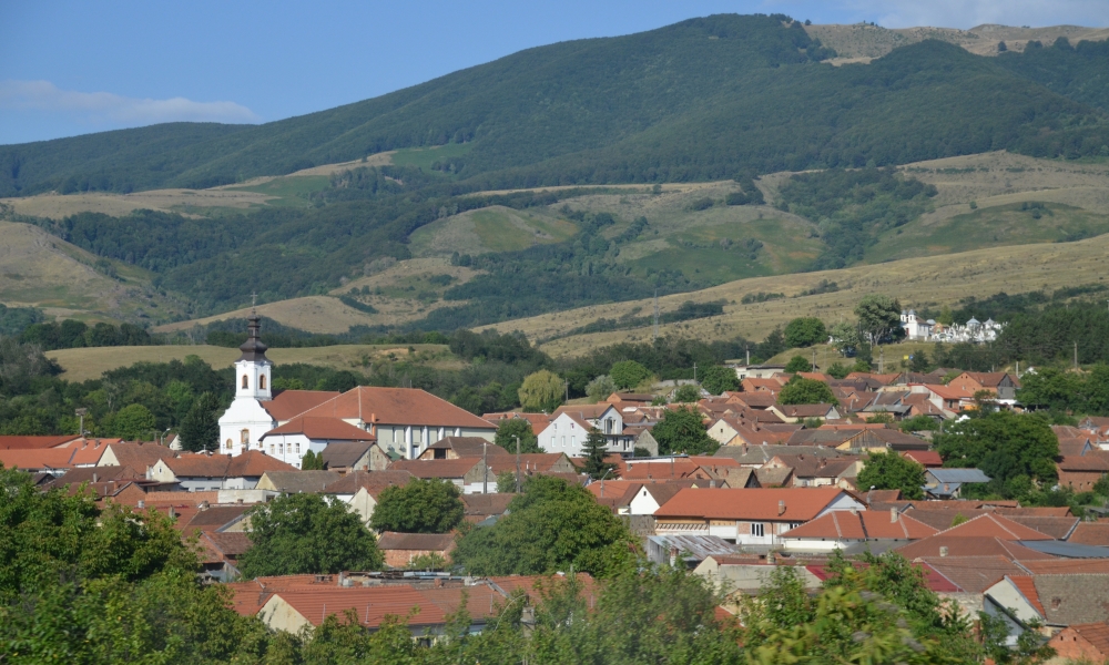 Village in western Romania